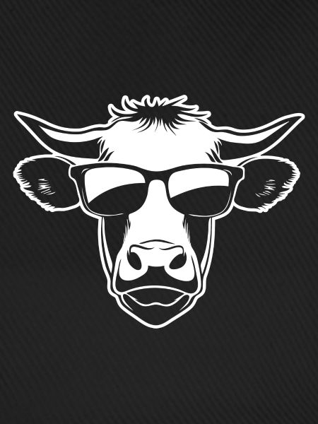Cool cow with sunglasses