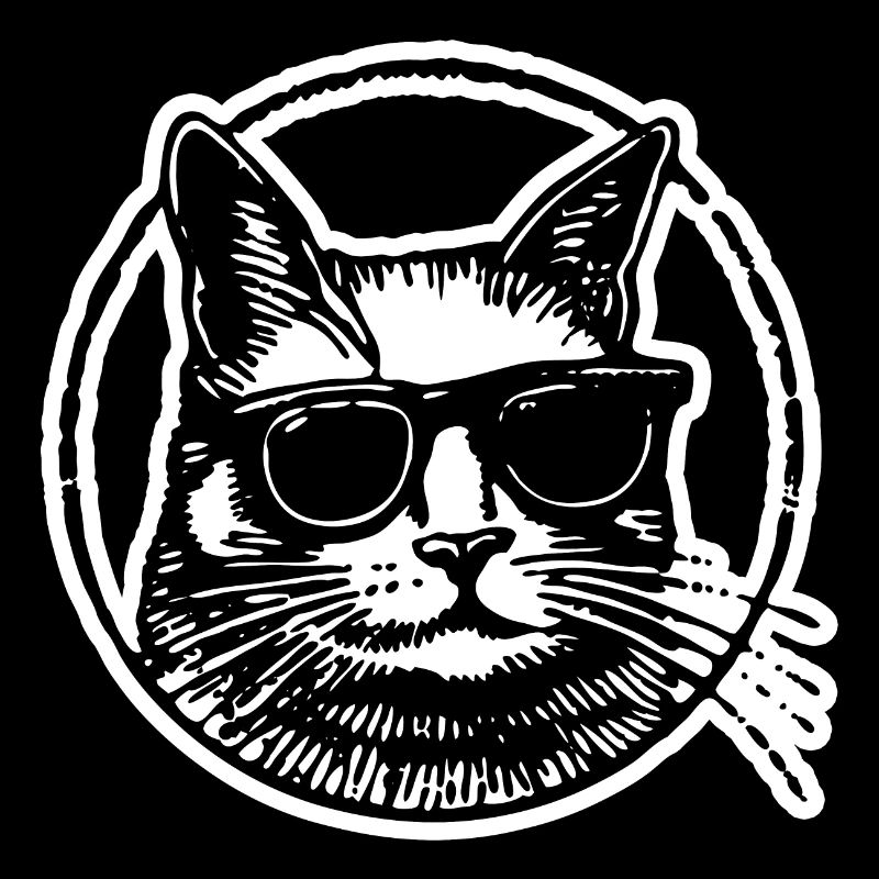 Chat Chats Chat Dame Chat Amoureux Chat Visage