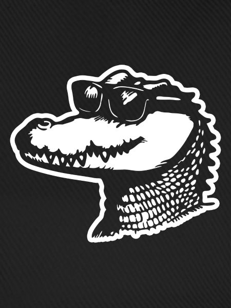 Crocodile Alligator
