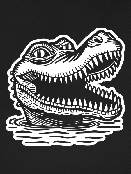Crocodile Alligator