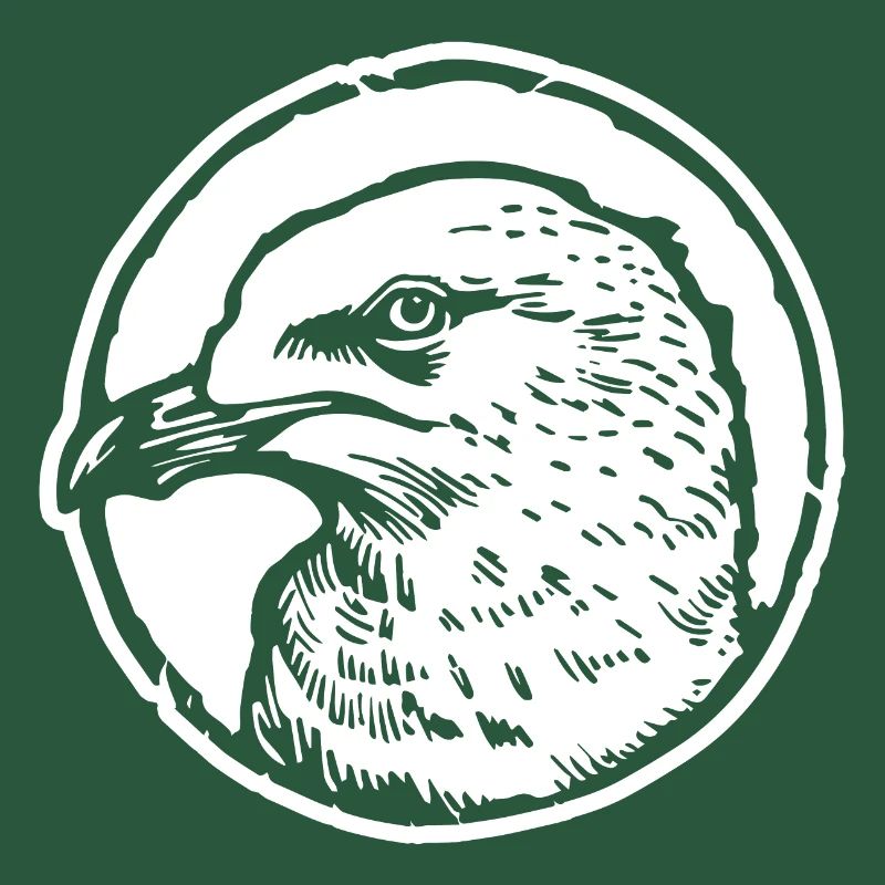 Möwe