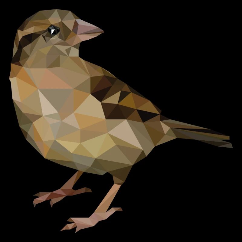 sparrow
