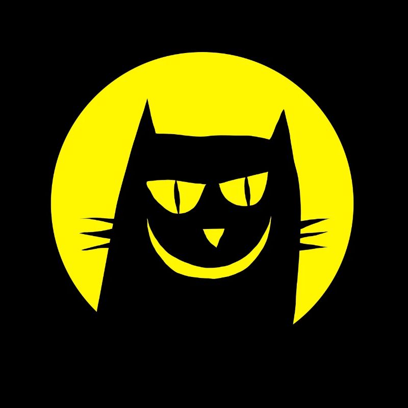 Chat drôle