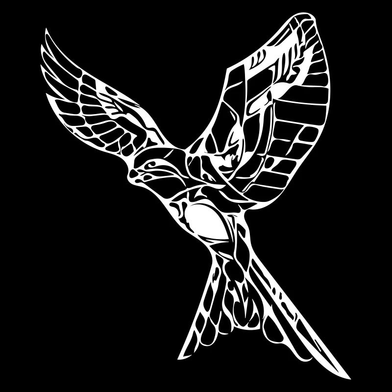 Elegant flying hawk