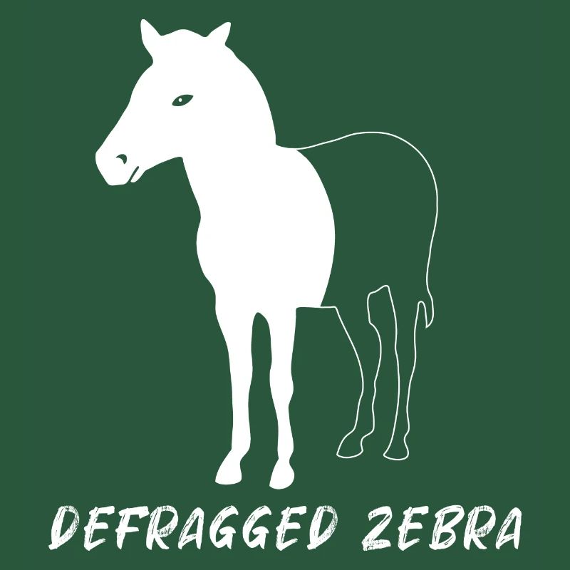 Defragged Zebra Admin Geek Programmer Gift