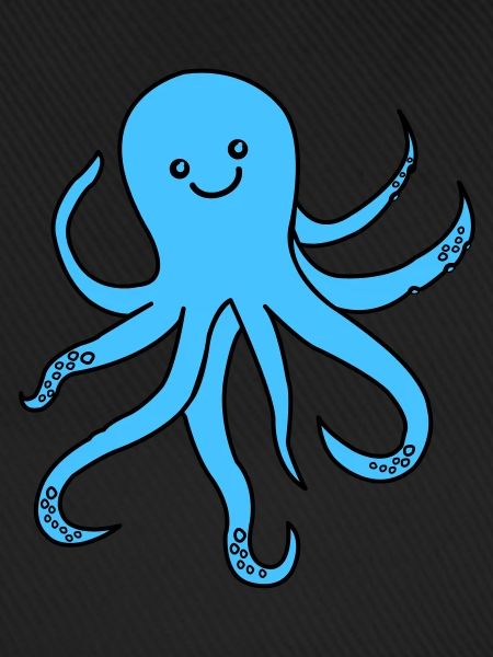 Octopus Octopus
