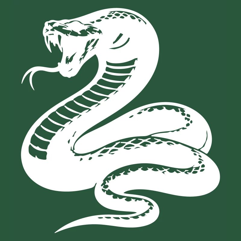 Silhouette du python serpent