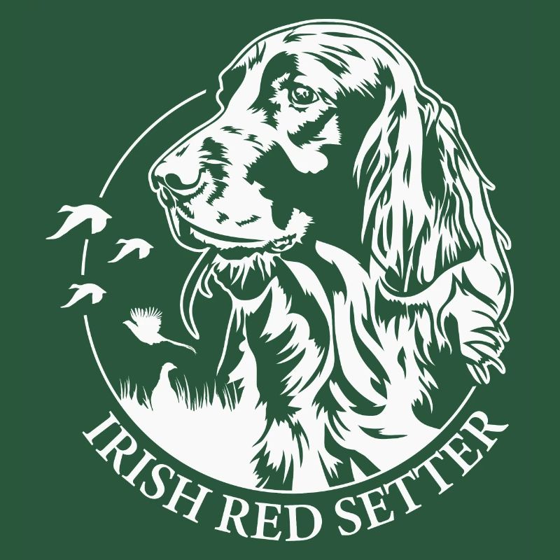 Irish Red Setter Jagdhund Jagdhunde Hunde Wilsigns