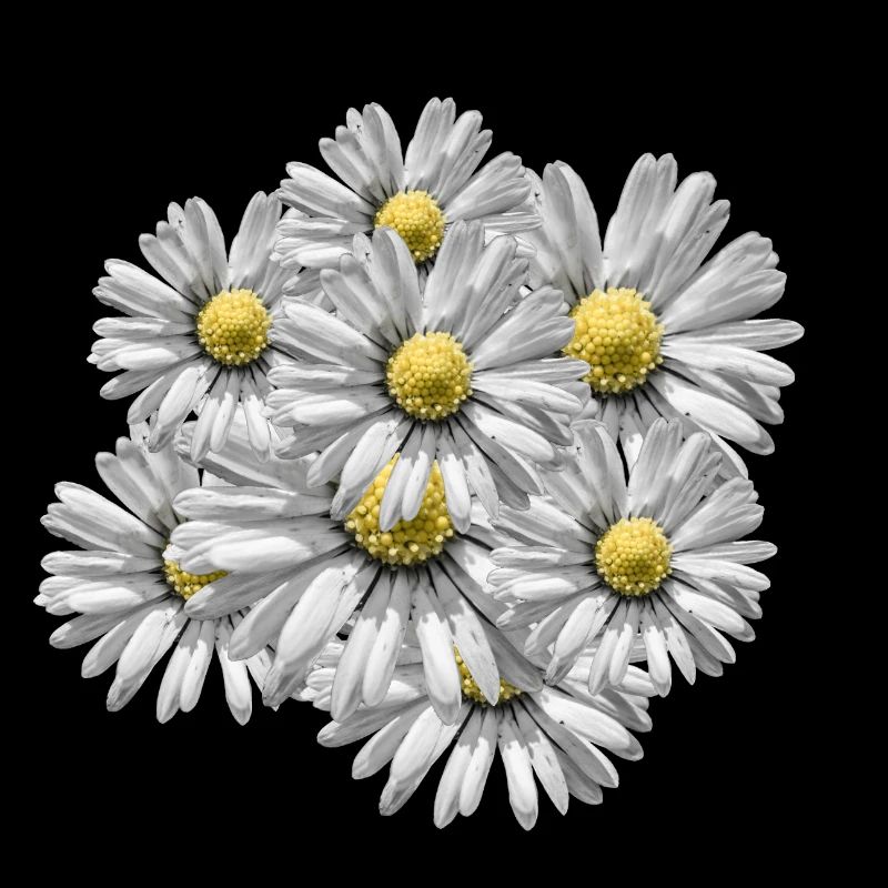 Blumenstrauß