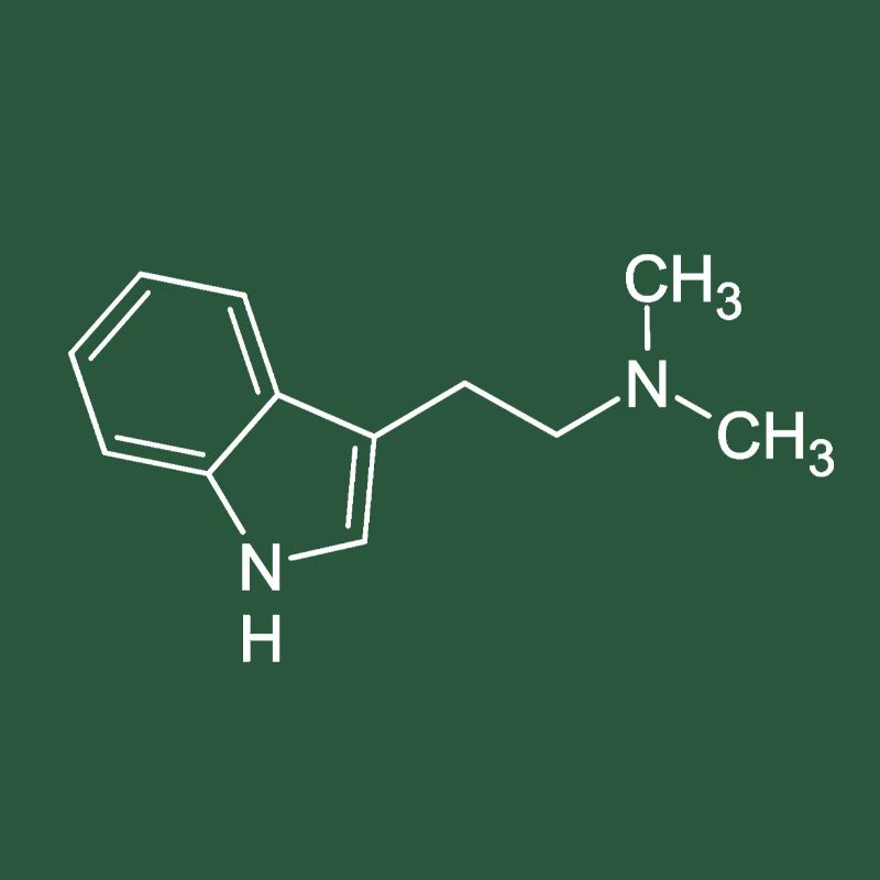 DMT