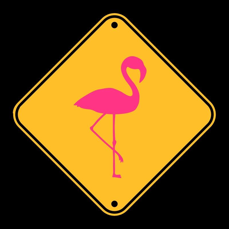 warning note caution caution shield danger fla
