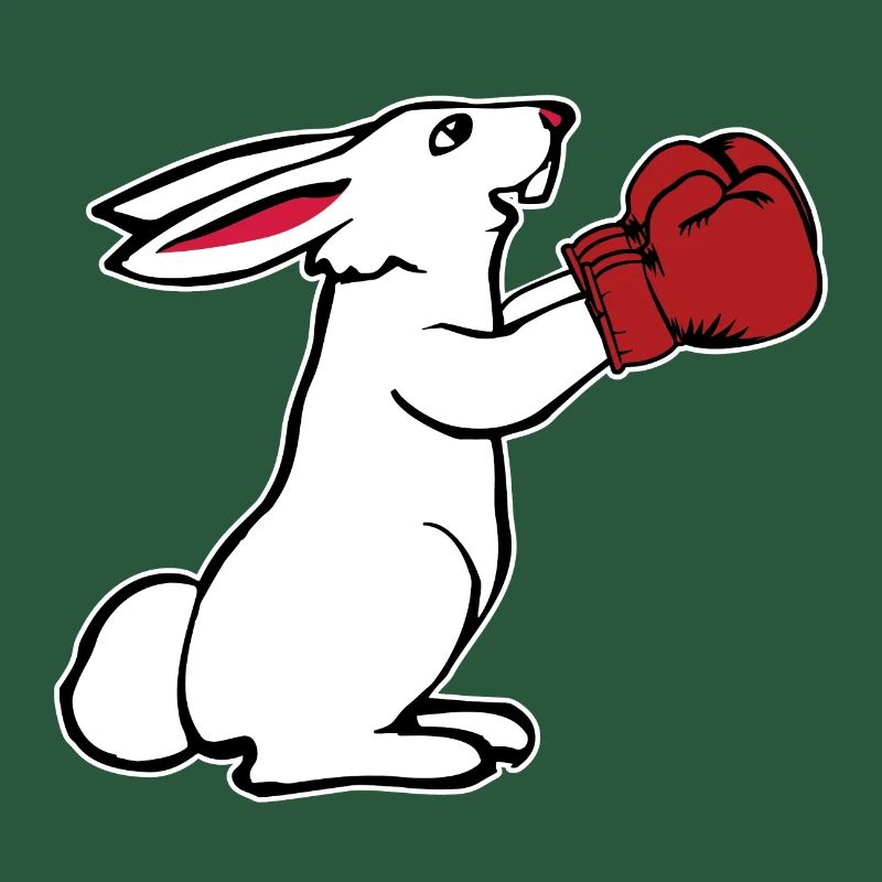 Gants de boxe boxe coffrets cadeaux