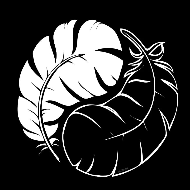 Two Feathers