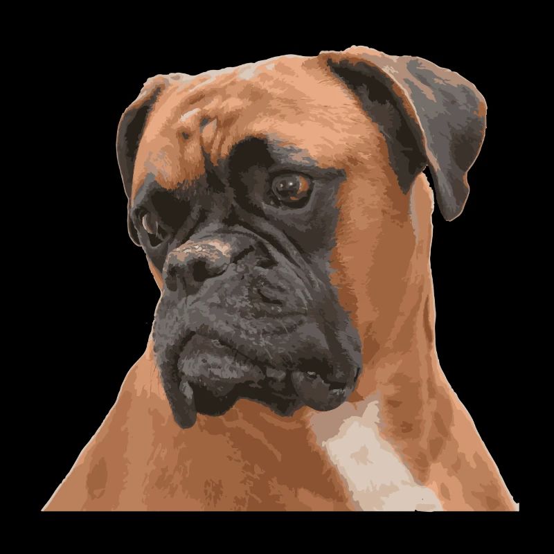 Trauriger Boxer
