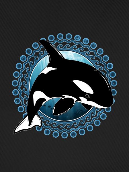 Orca killer whale