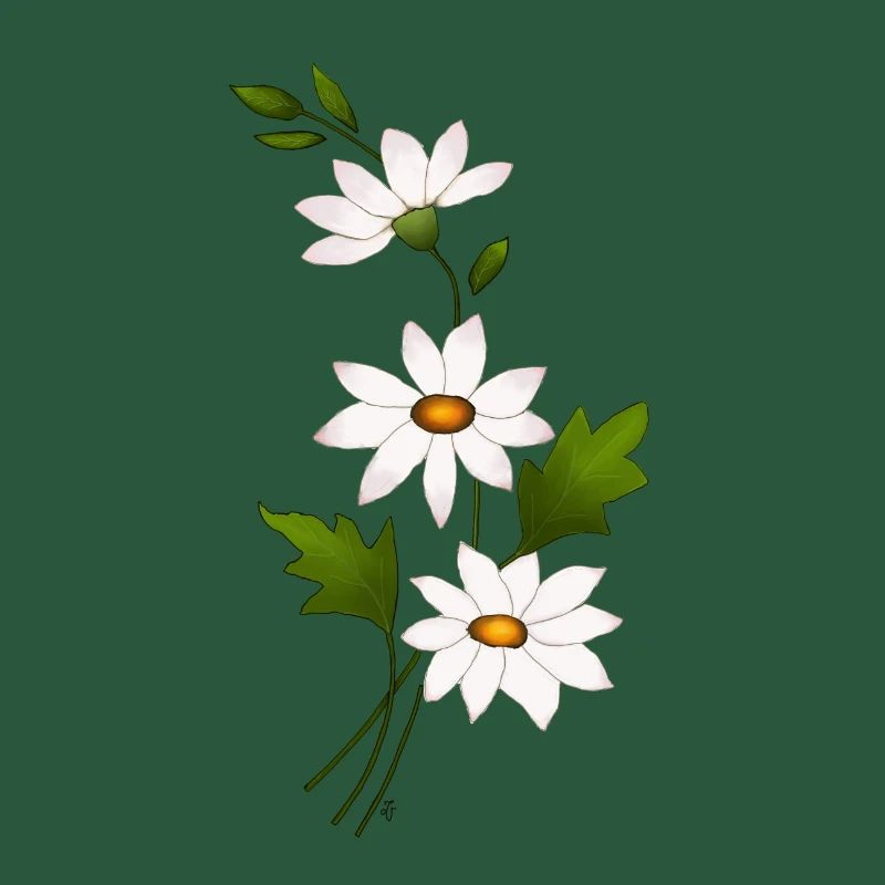 Gänseblümchenblüten