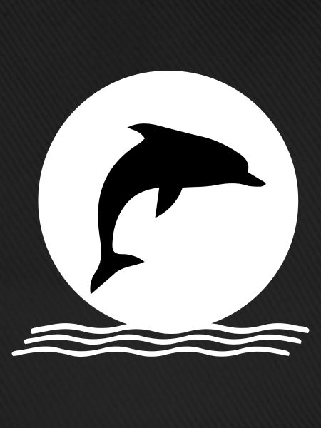 Dolphin dolphins