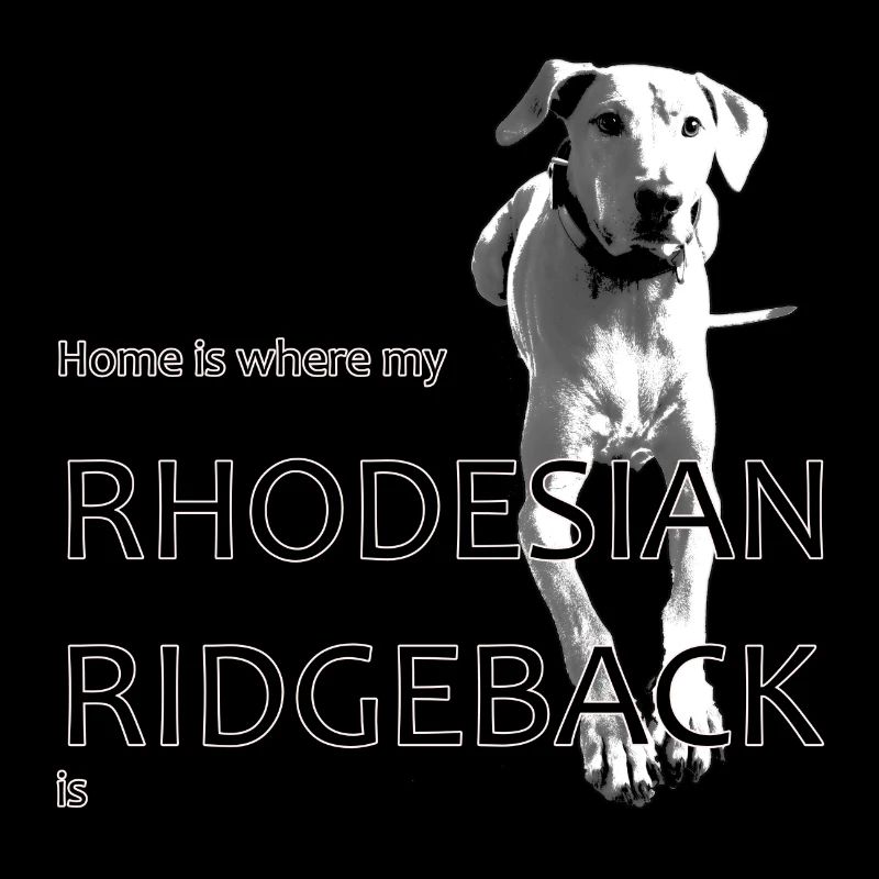 Home is where my Rhodesian Ridgeback is
