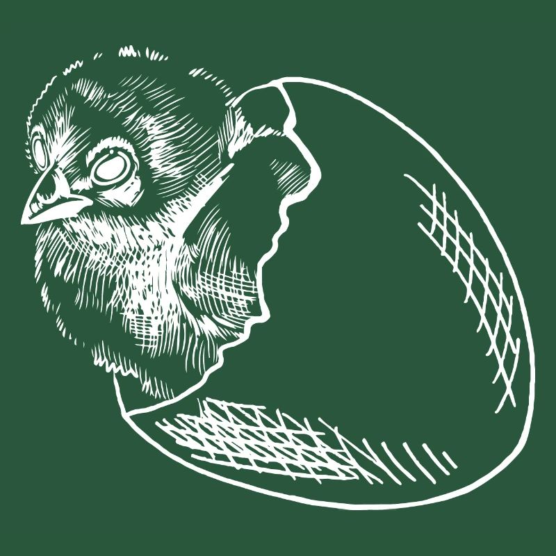 Chicks hatch egg