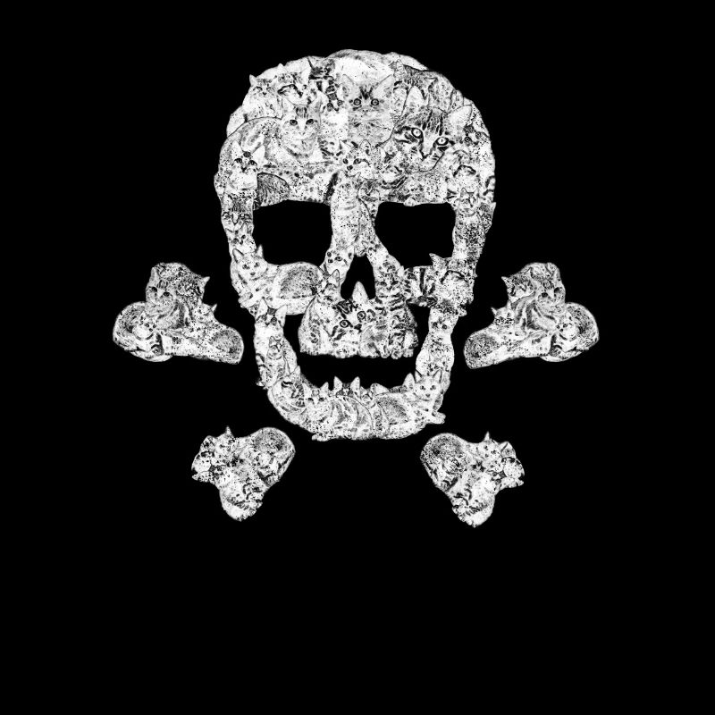 Funny Cat Skull Crossbone Kitty Kitten Pirate Gift