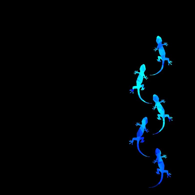 Geckos