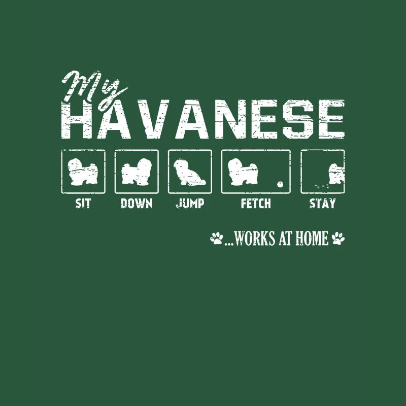 Havanese Havanese