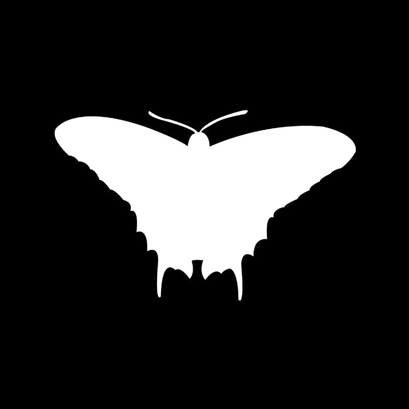 Moth