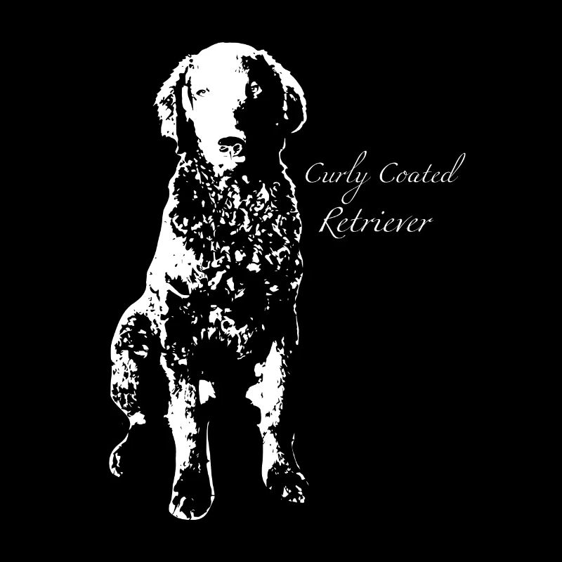 Curly Coated Retrievers