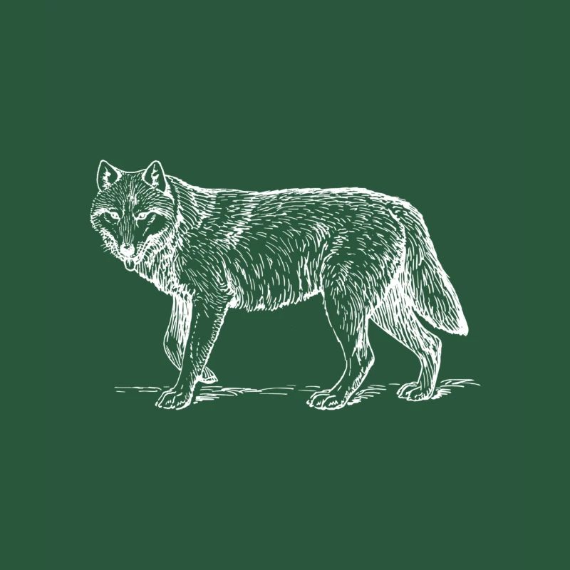 wolf