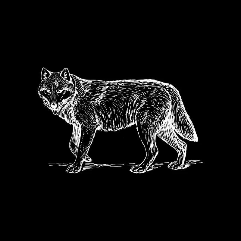 wolf