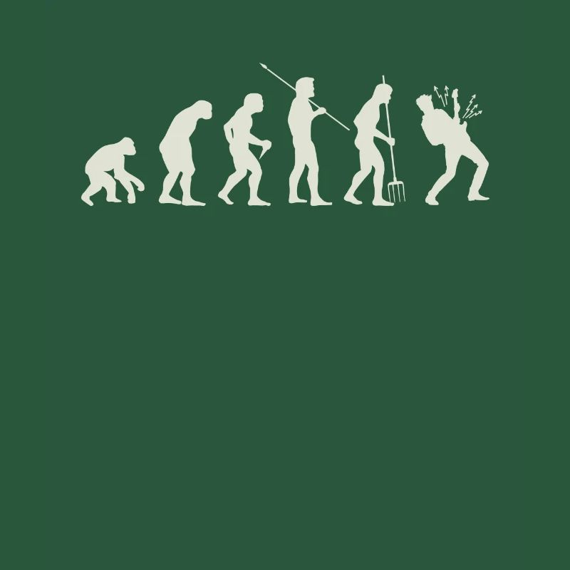 Evolution guitar