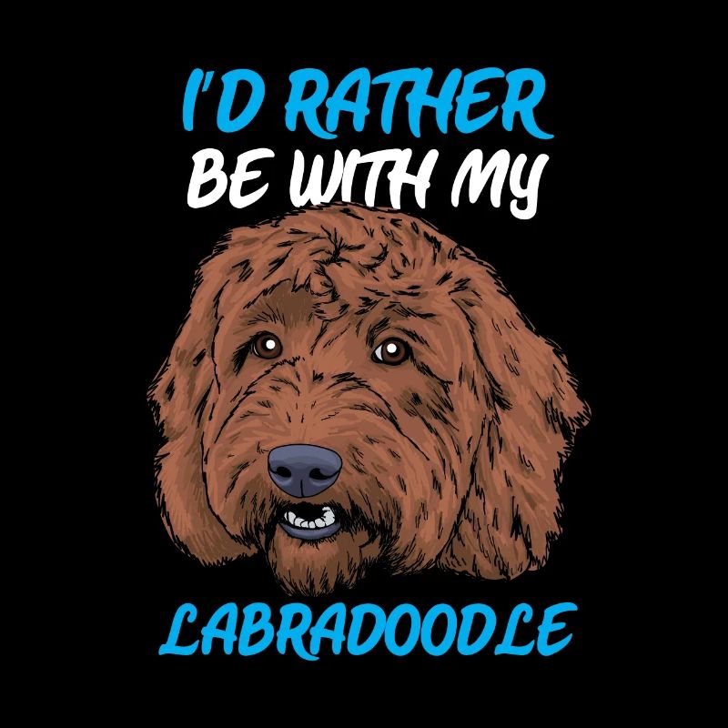 Labradoodle