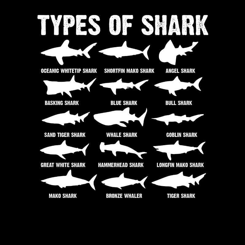 Espèces de requins