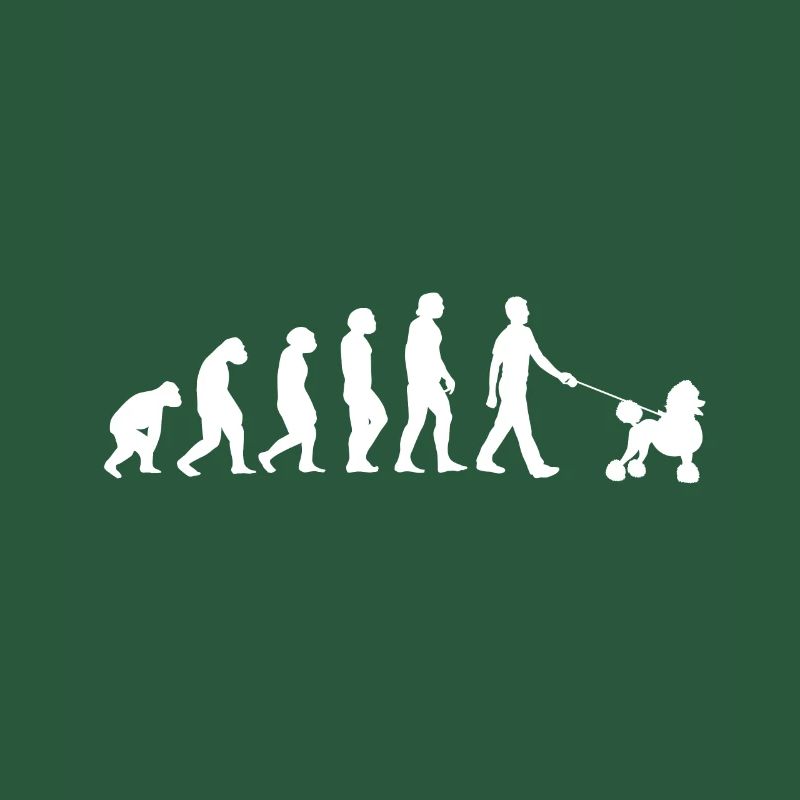 Caniche Evolution