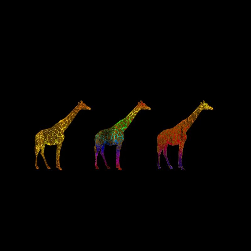 Giraffe Savanne
