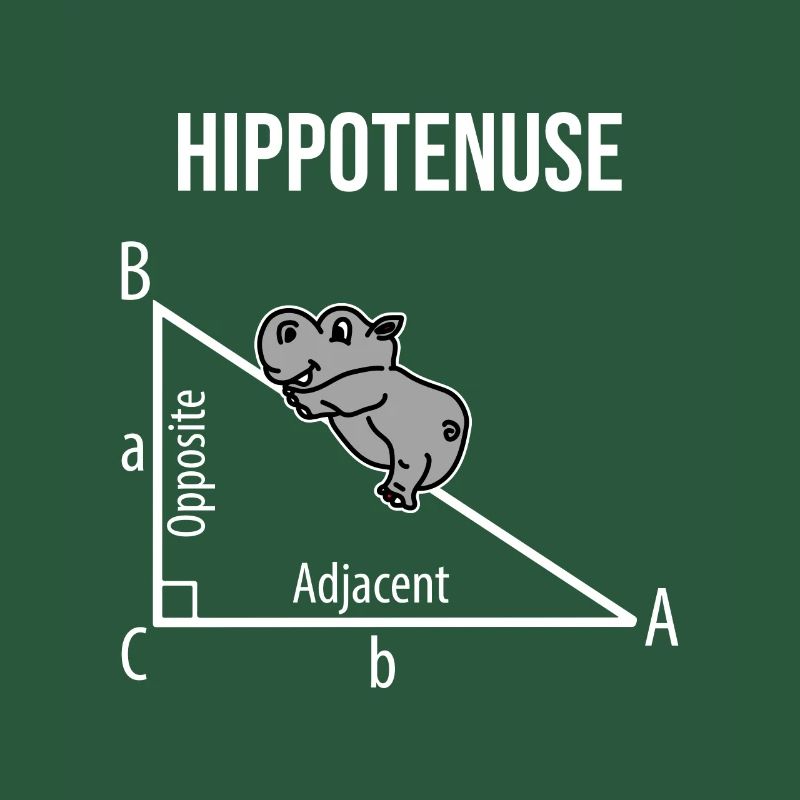 Nilpferd Mathematik