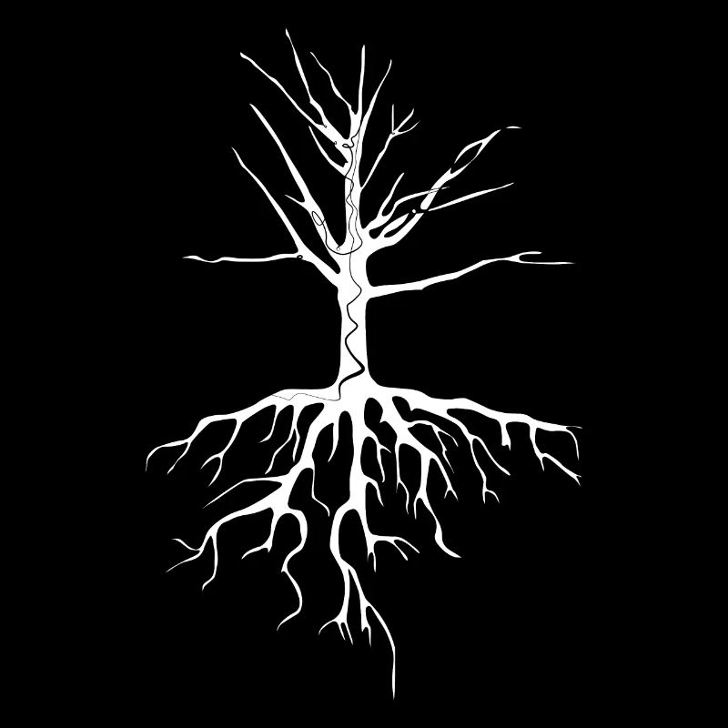 Baum