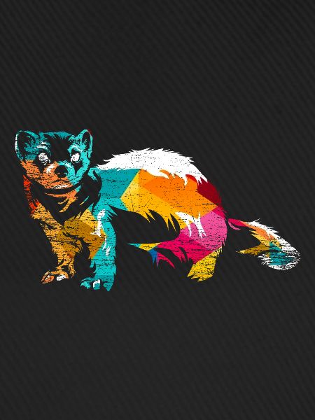 Ferret