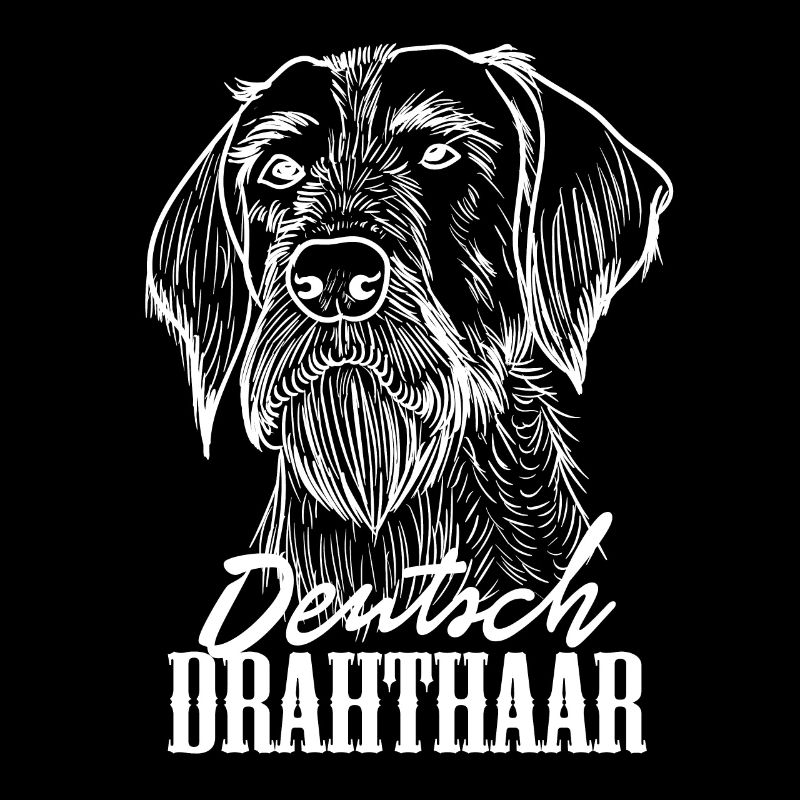 Deutsch Drahthaar Hund Hunde Jagdhund Jagd Geschen