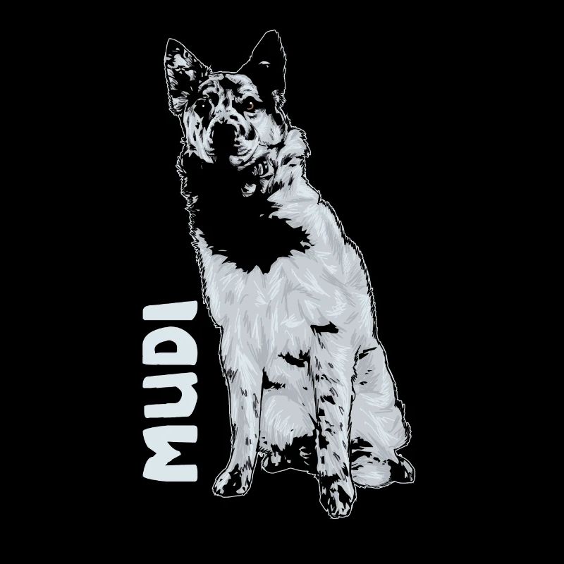 Mudi