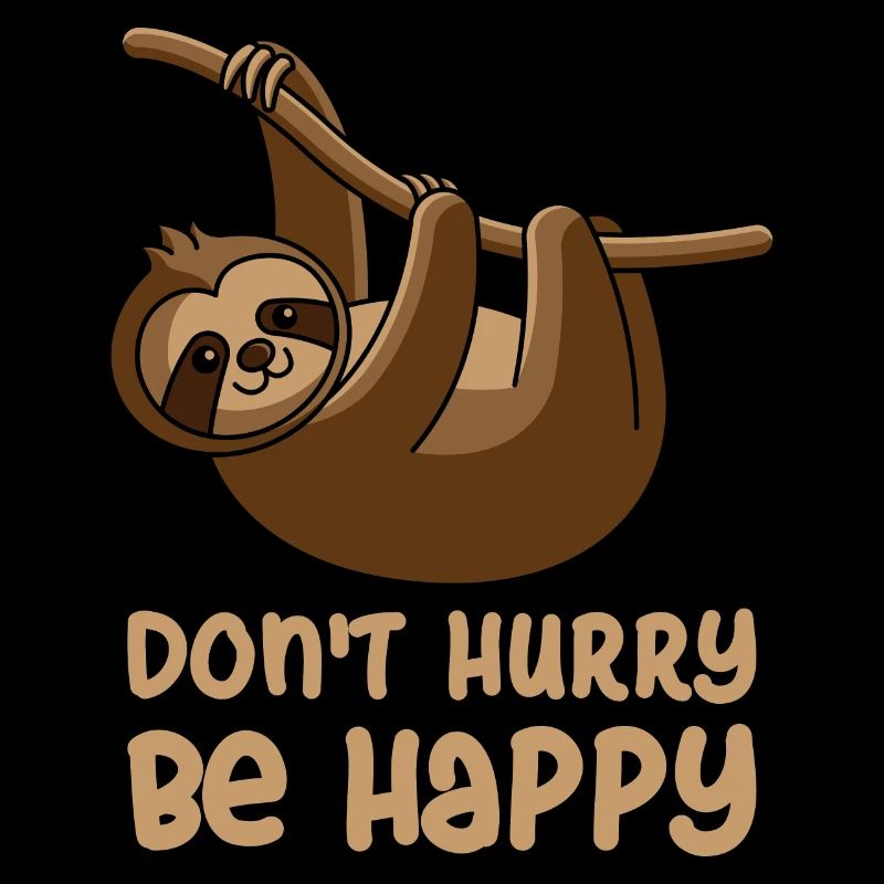 Do not Hurry Be Happy, sloth lazy gift