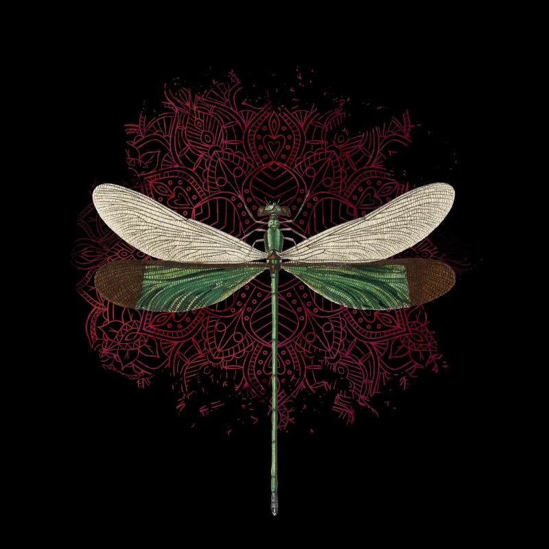 Libelle