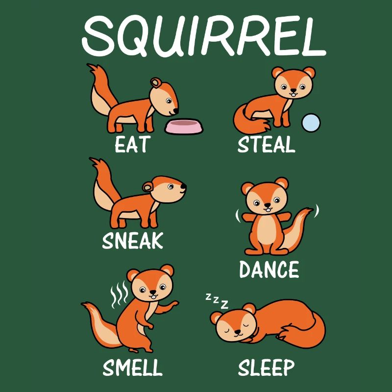 eichhörnchen