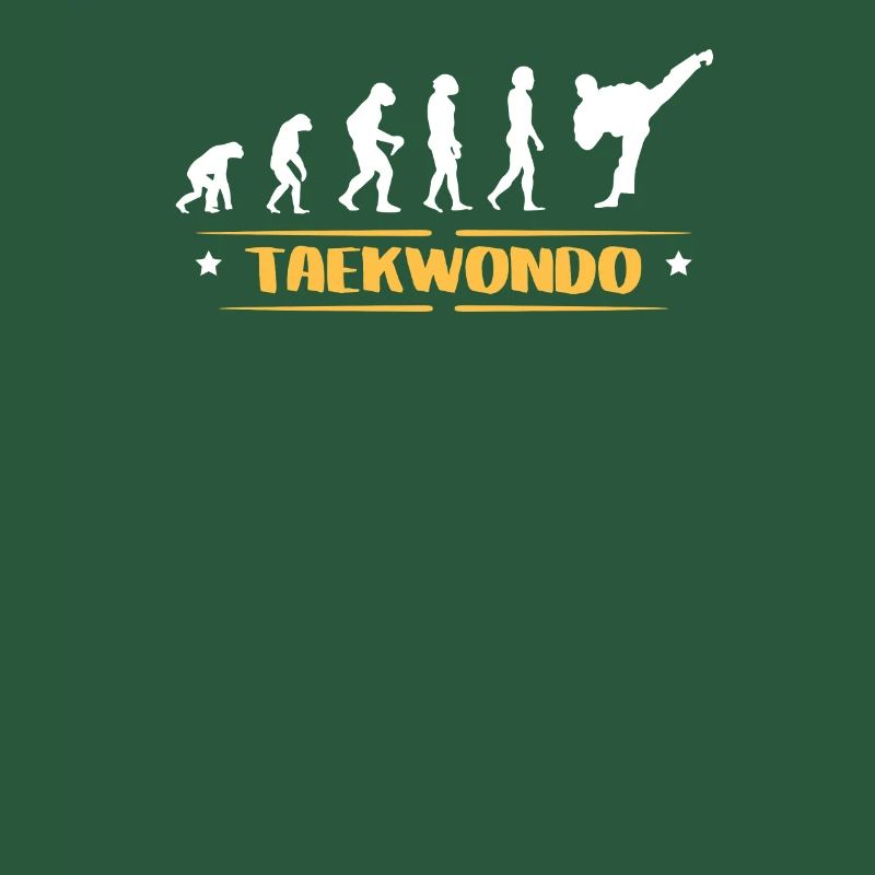 EVOLUTION TAEKWONDO