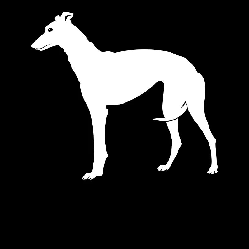 Greyhound Windhund