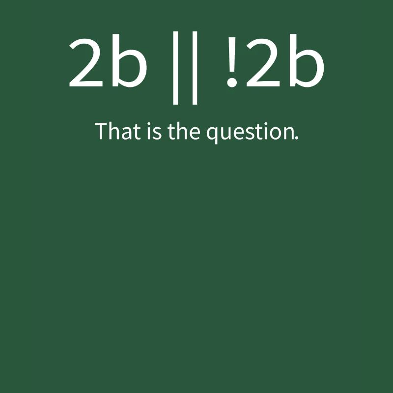 2b lustiger cooler Programmierer sein oder nicht sein