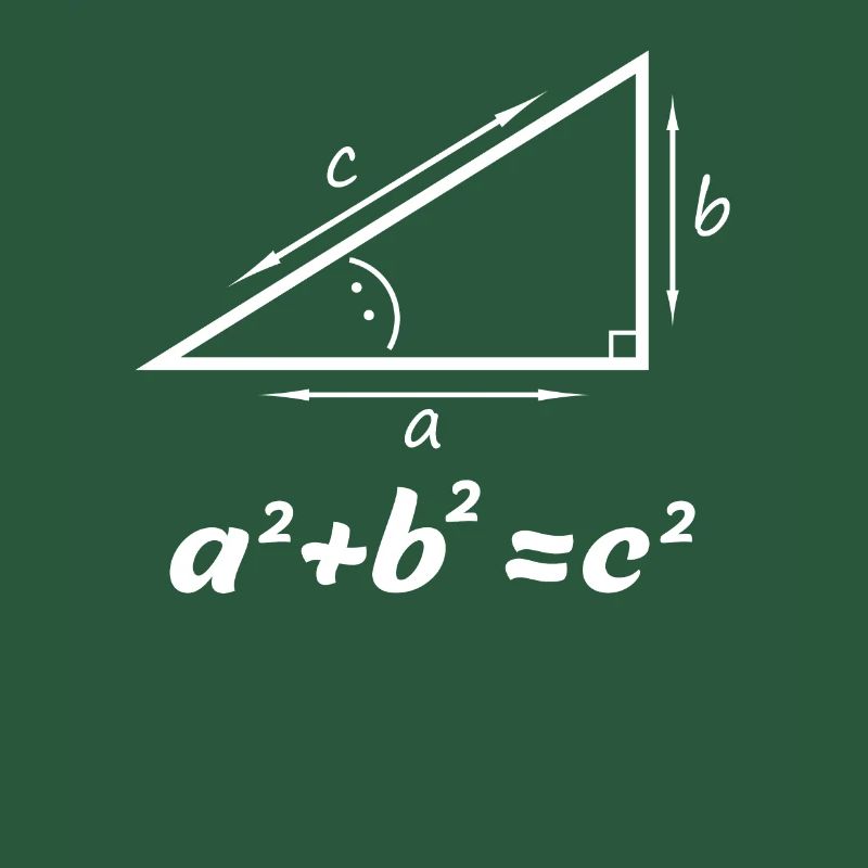 Pythagorean theorem gift for math teacher nerd