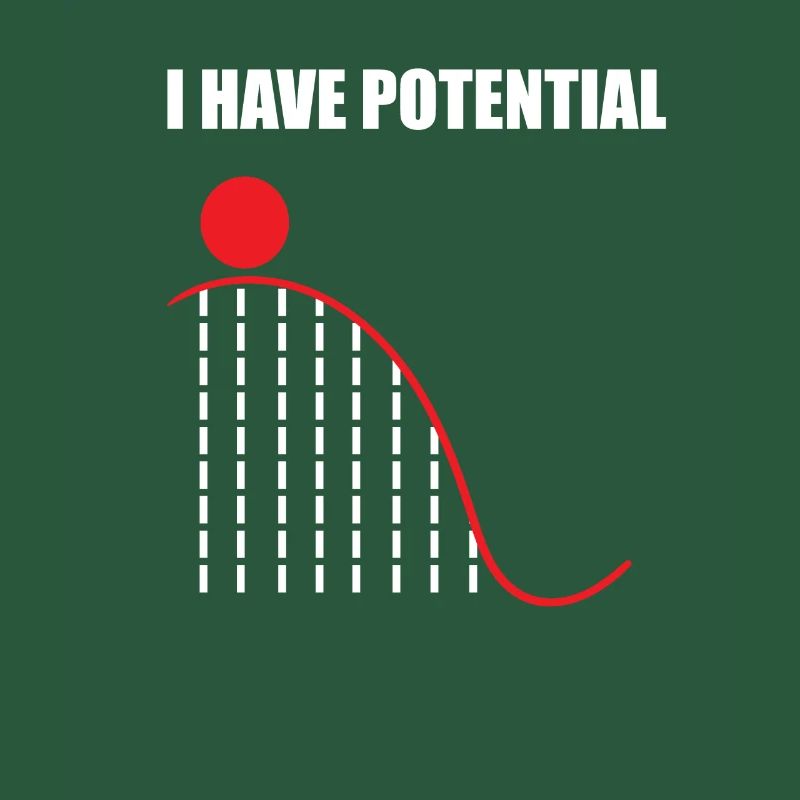 Physics nerd pun math potential gifts