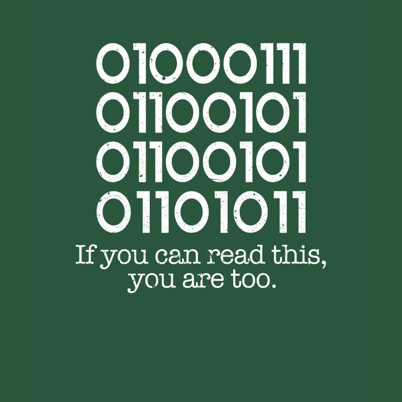 programmer