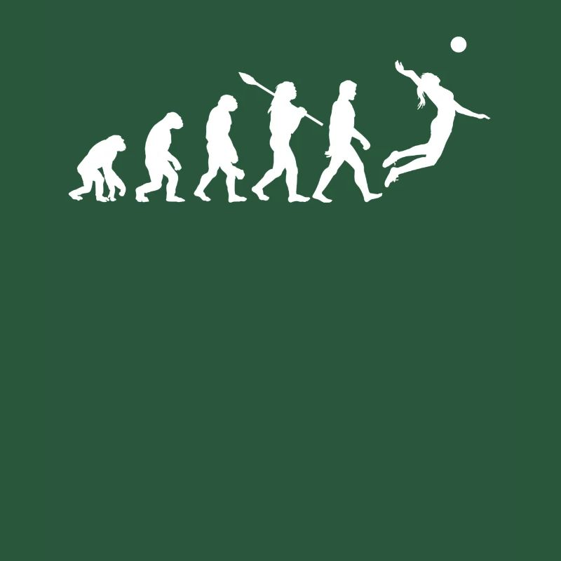 Volley-ball Evolution